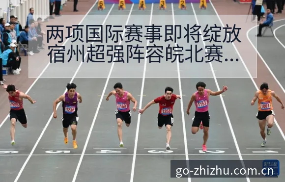 两项国际赛事即将绽放宿州超强阵容皖北赛程节点与看点分析技 - 蜘蛛直播