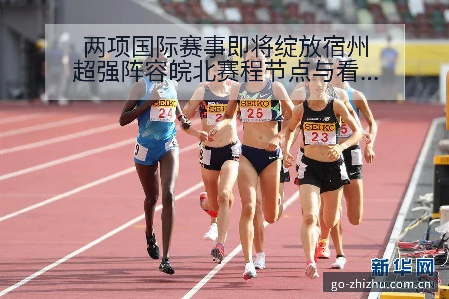 两项国际赛事即将绽放宿州超强阵容皖北赛程节点与看点分析技 - 蜘蛛直播