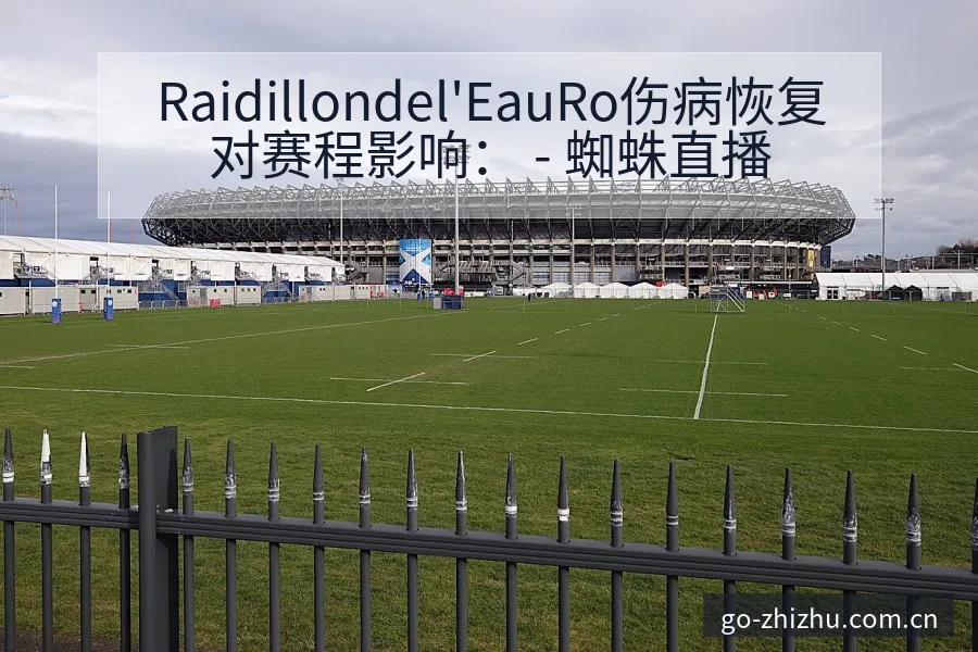 Raidillondel'EauRo伤病恢复对赛程影响： - 蜘蛛直播
